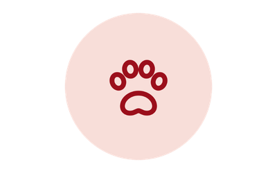 Pet Supplies